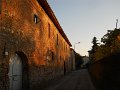 DSCN9706