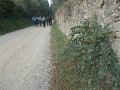 DSCN3868