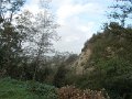 DSCN3874