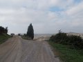 DSCN3901