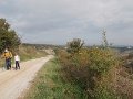 DSCN3933