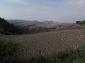 DSCN3943