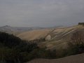 DSCN3945