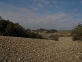 DSCN3949