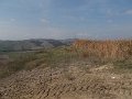 DSCN3963