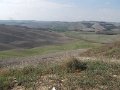 DSCN3967