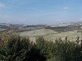 DSCN3973