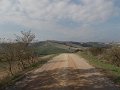 DSCN3976