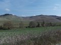 DSCN3983