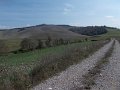 DSCN3984