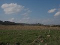 DSCN3996