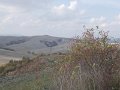 DSCN4034
