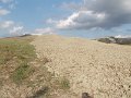 DSCN4051