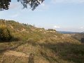 DSCN4072