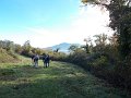 DSCN8981