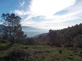 DSCN8985