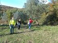 DSCN8987