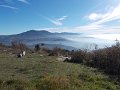 DSCN8991