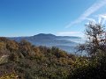 DSCN9007