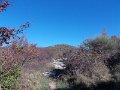 DSCN9015