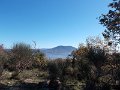 DSCN9018