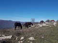 DSCN9034