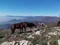 DSCN9036