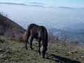 DSCN9038