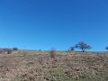 DSCN9051