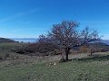 DSCN9062