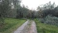 DSCN9086