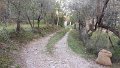 DSCN9087
