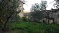 DSCN9088