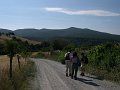 9MazzollaTatti11072004