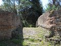 DSCN1900