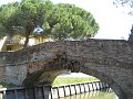 DSCN1902