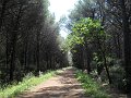 DSCN1911