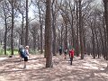DSCN1934