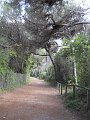 DSCN1980