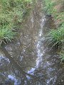 DSCN1998