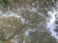 DSCN2000