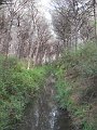 DSCN2001
