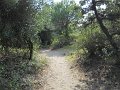 DSCN2027