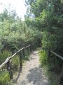 DSCN2028