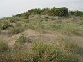 DSCN2036