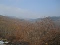 DSCN1201