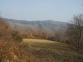 DSCN1205