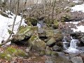 DSCN1228