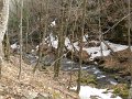 DSCN1232
