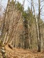 DSCN1233